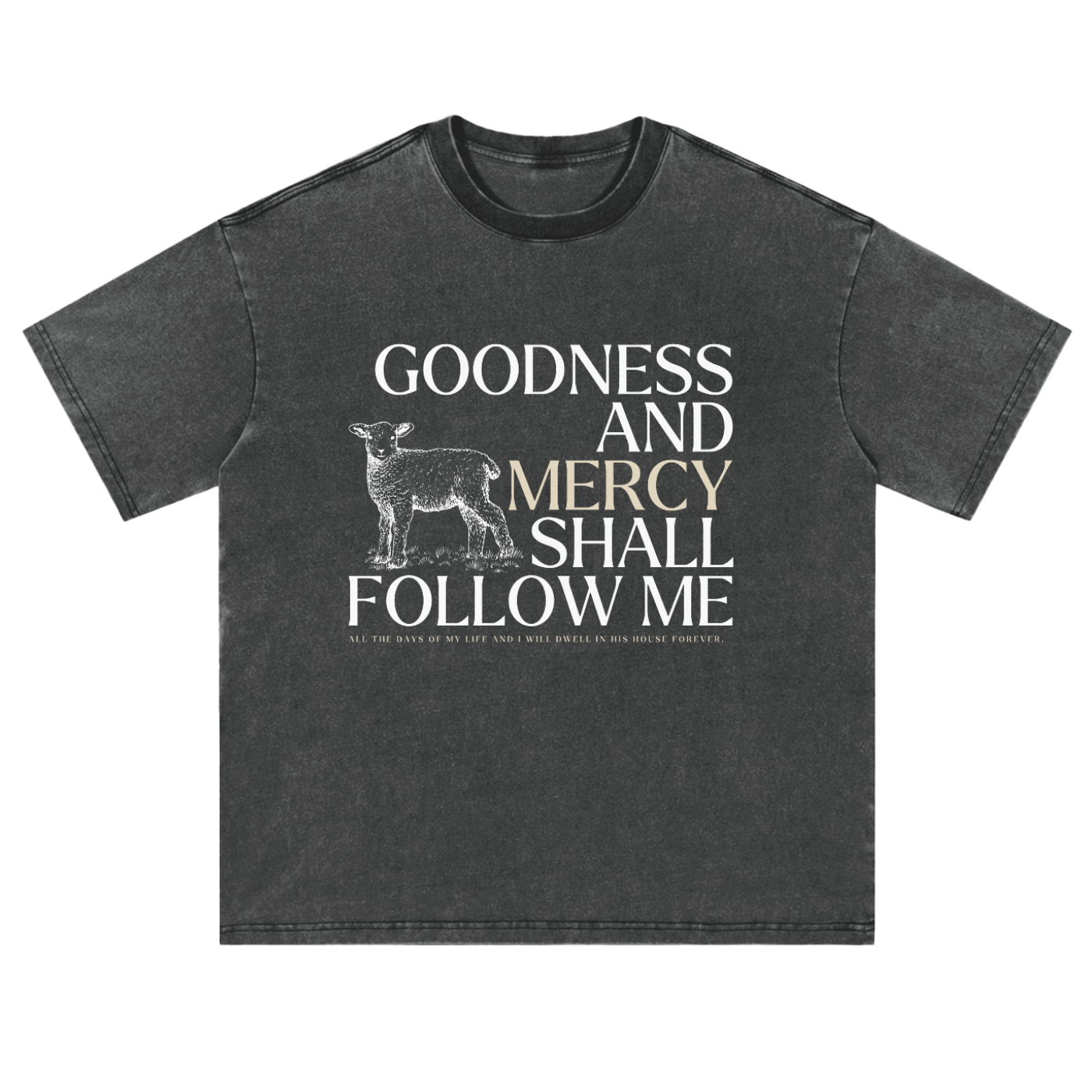 Goodness and Mercy Follow Me Premium Vintage Tee