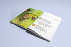 Embracing New Seasons: Her Guided Journal for Transformation